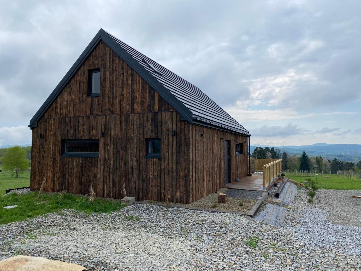 Domek Przy Debrzy Villa Poraz Bagian luar foto